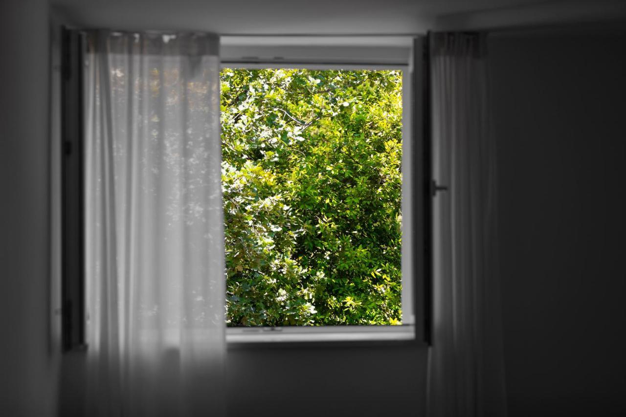 Apartment Fani With Free Private Parking ドゥブロブニク エクステリア 写真